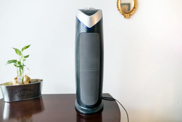 air purifier for living room